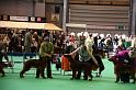 Crufts2010 1320